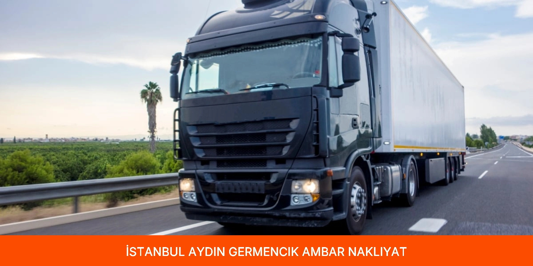 Germencik Ambar